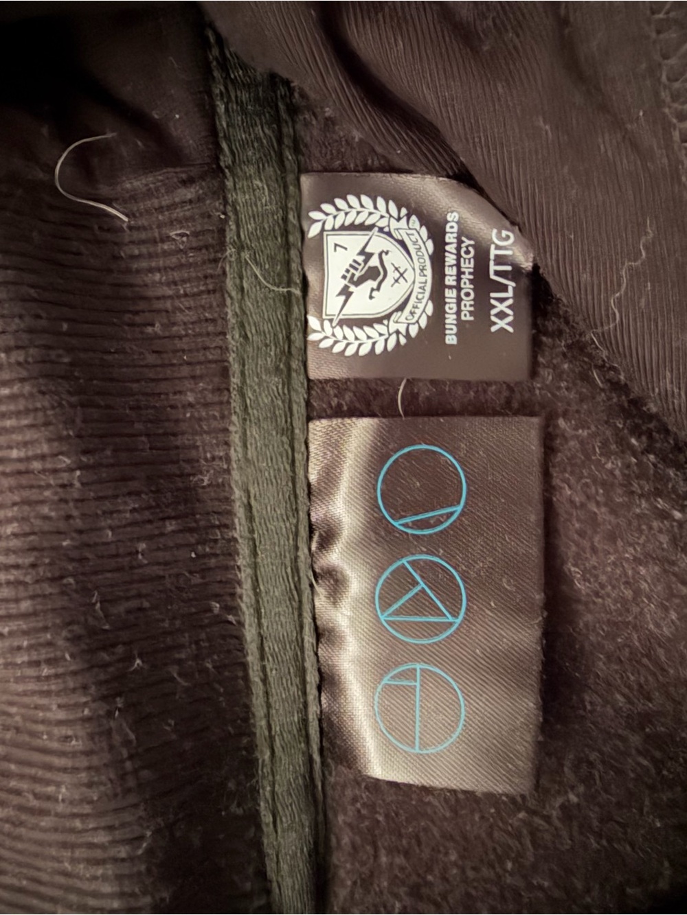 Men's Gray and Black Pullover Hoodie with Blue Accent - bungie destiny2 - Picture 2 of 2